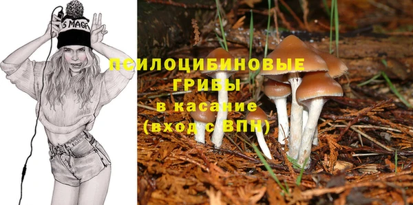 a pvp Надым