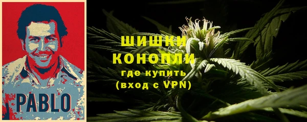 spice Нея