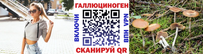 что такое наркотик  Почеп  Псилоцибиновые грибы MAGIC MUSHROOMS 
